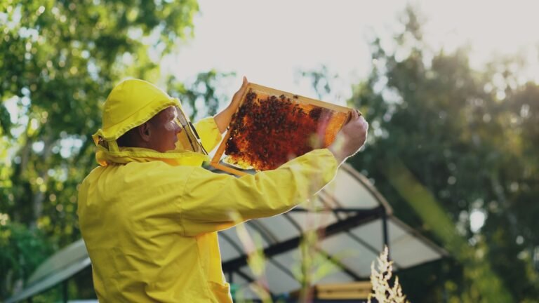 Beekeeper holding a honeycomb frame